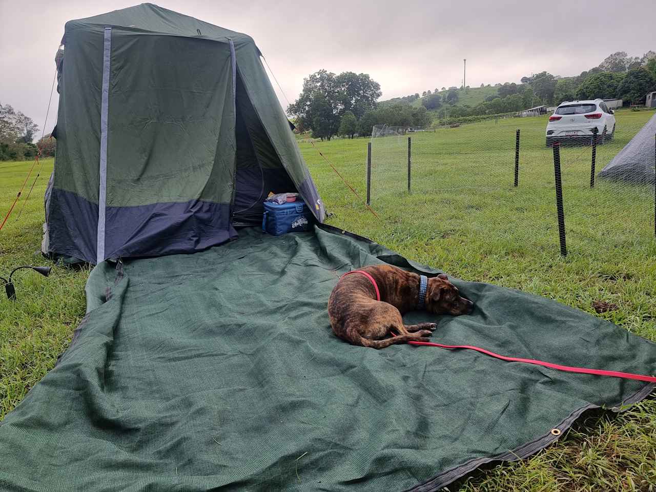 Kandanga Creekside Camping