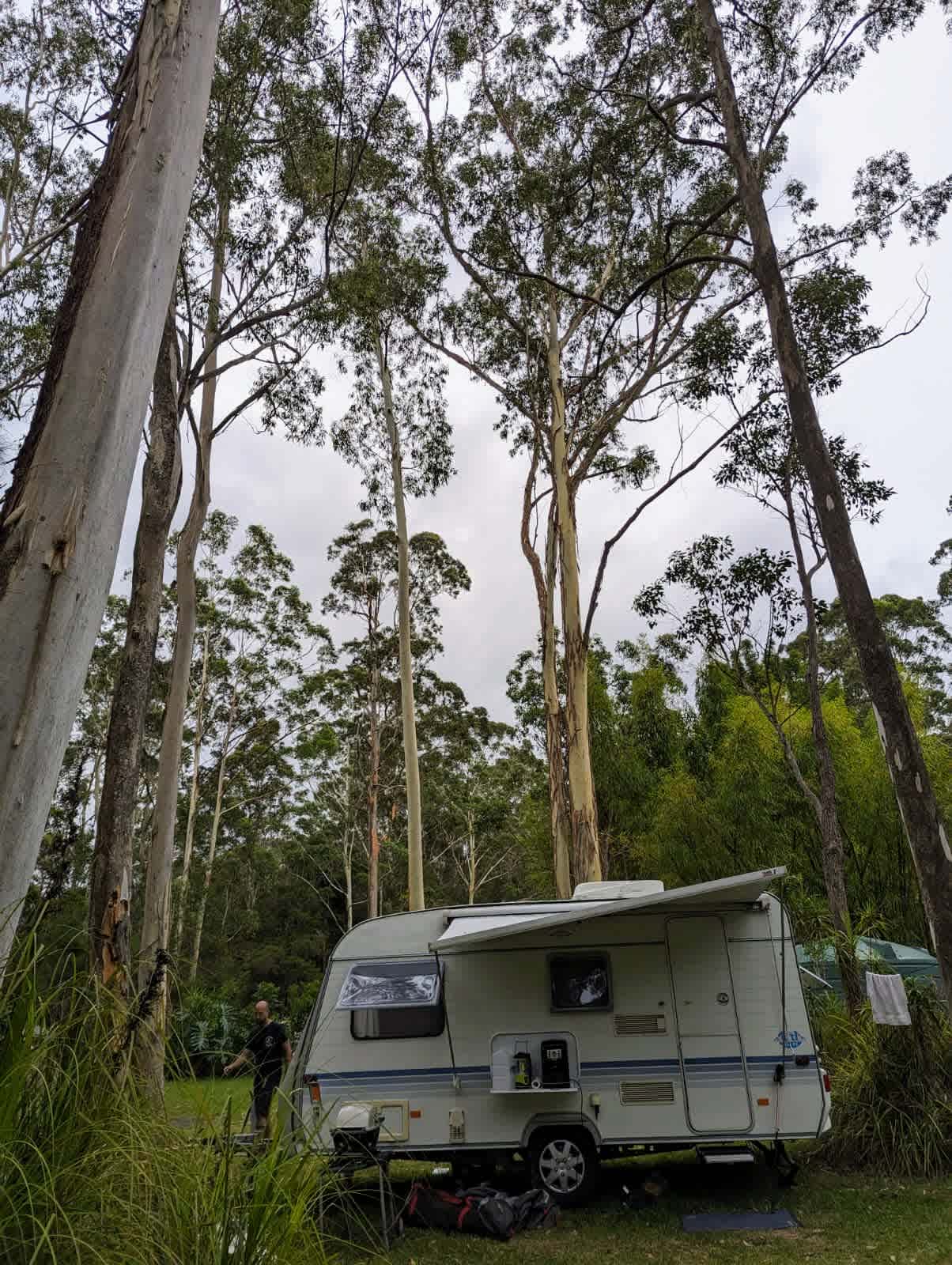 Sugar Creek Dream. Rainforest Oasis