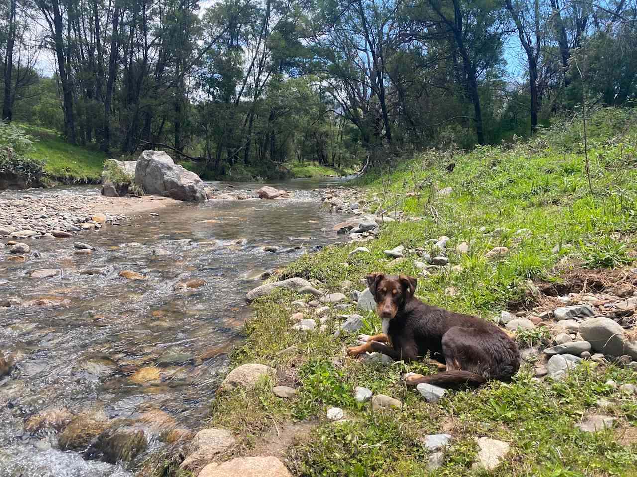 Misty Mountain Wildlife Refuge