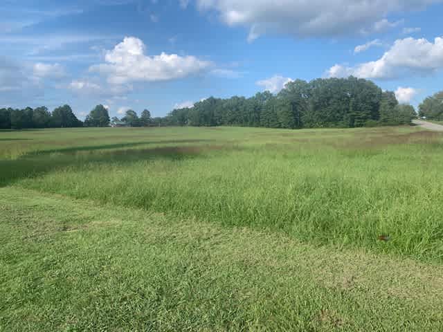 Open hay field in the center of the property. Easy access yet remote location. 