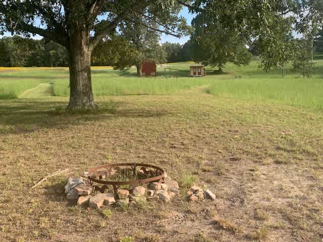 View from camp site #10 towards the barn and property access on Hwy 5.