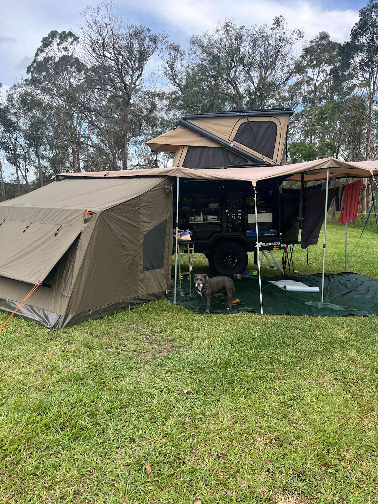 Mt Nellinda Campsite