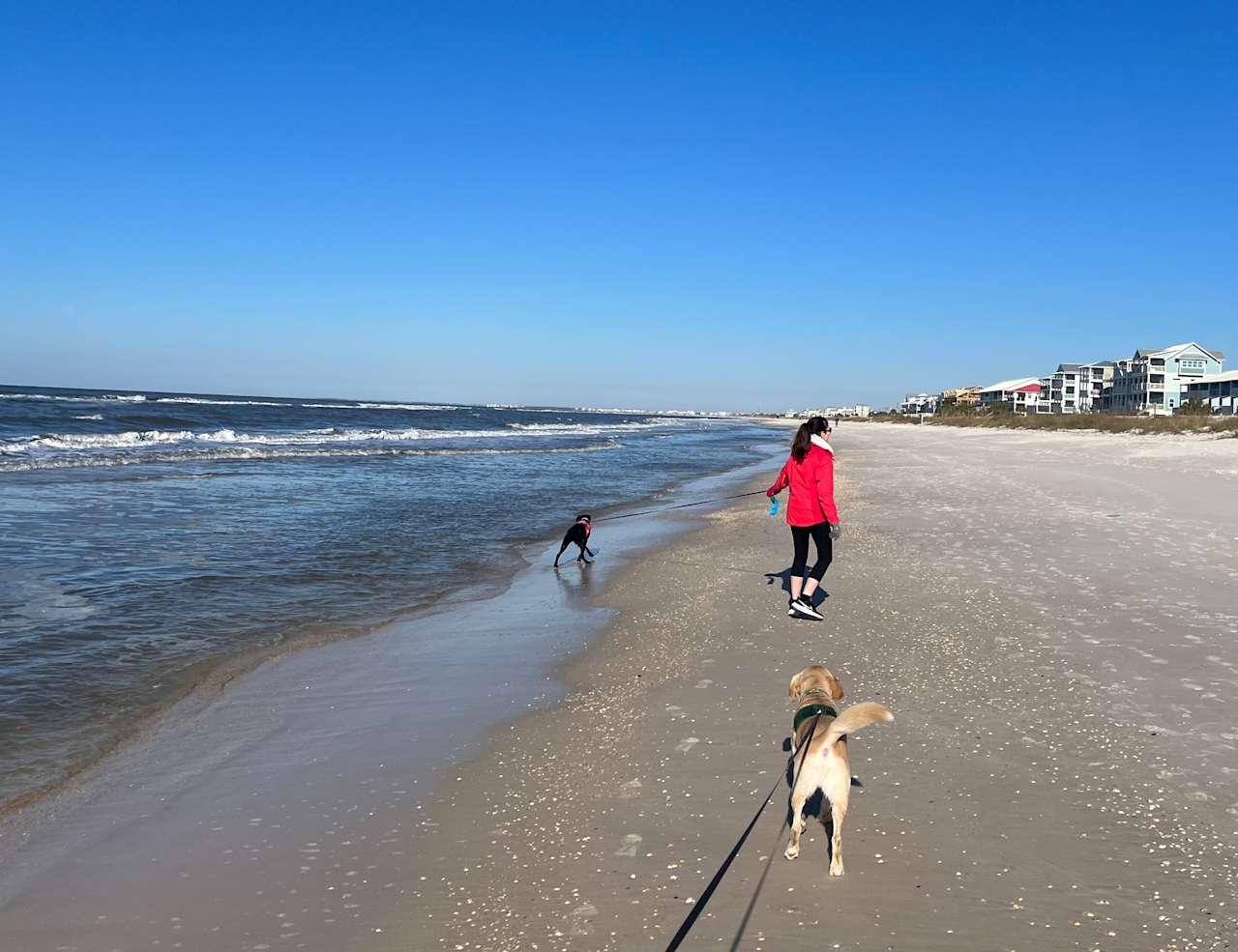 Sugar White Sand - St. Joe Beach