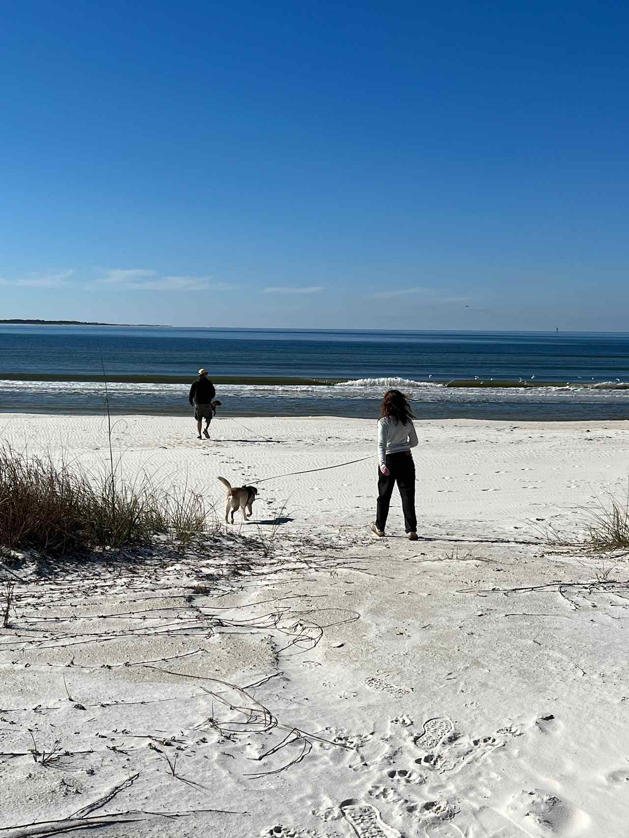 Sugar White Sand - St. Joe Beach