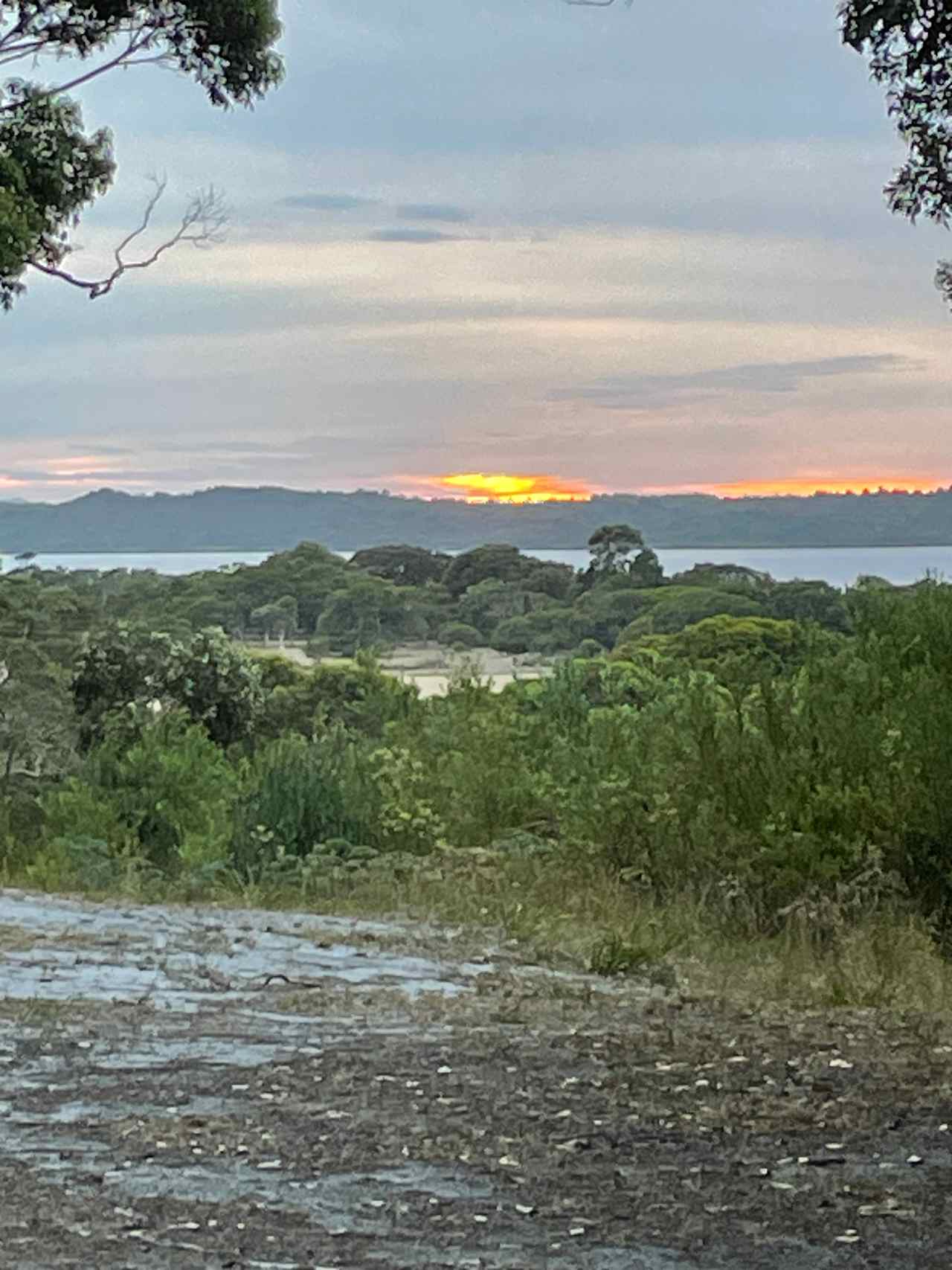 Irwin Inlet Views