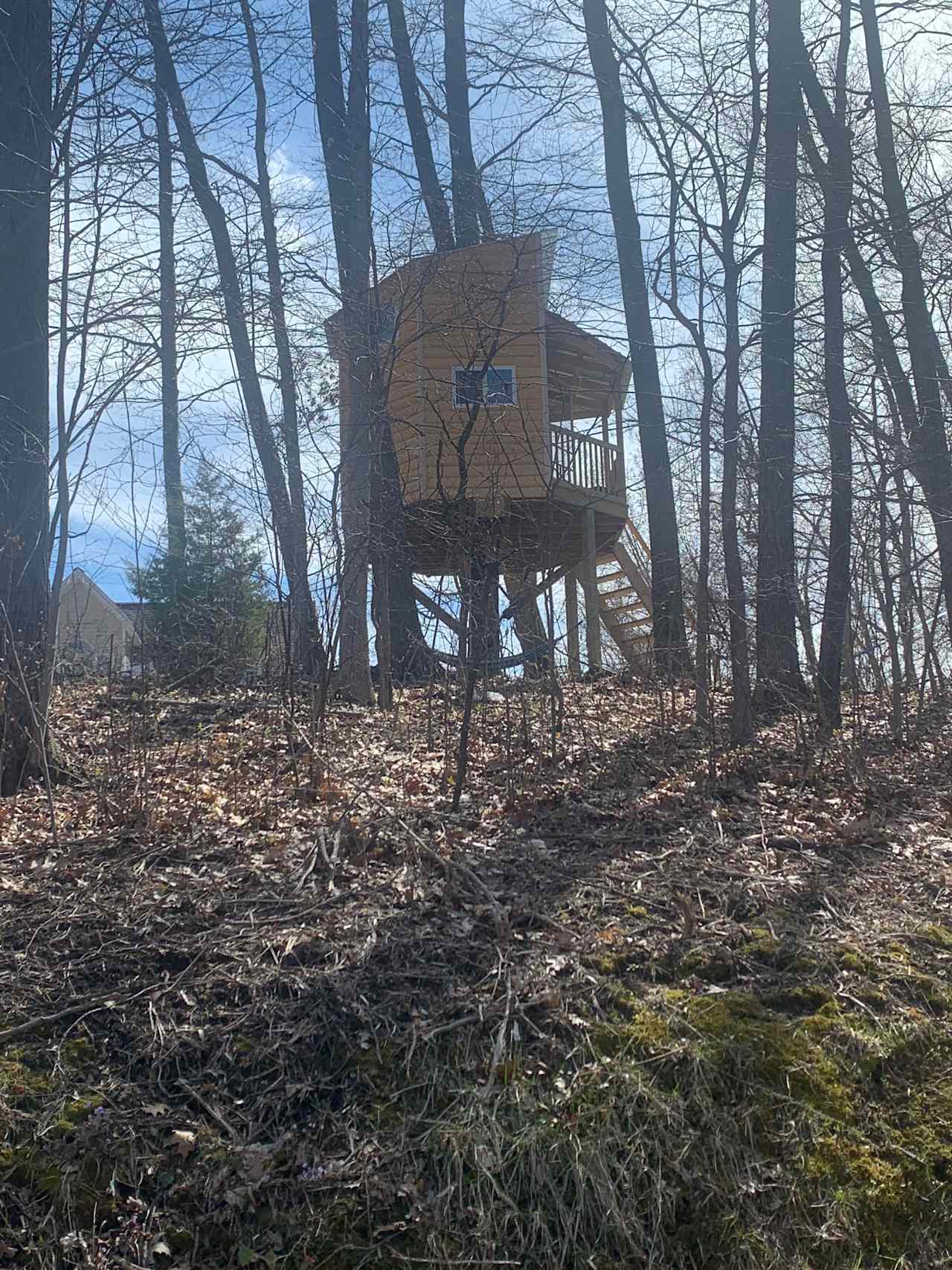 Treasure Hunt Treehouse