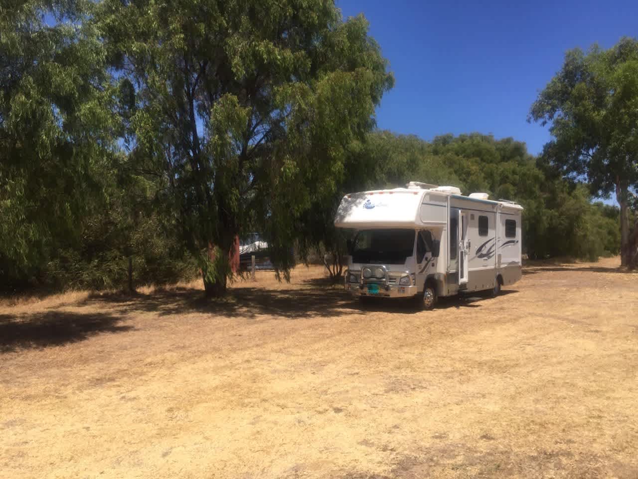 Paperbark Way