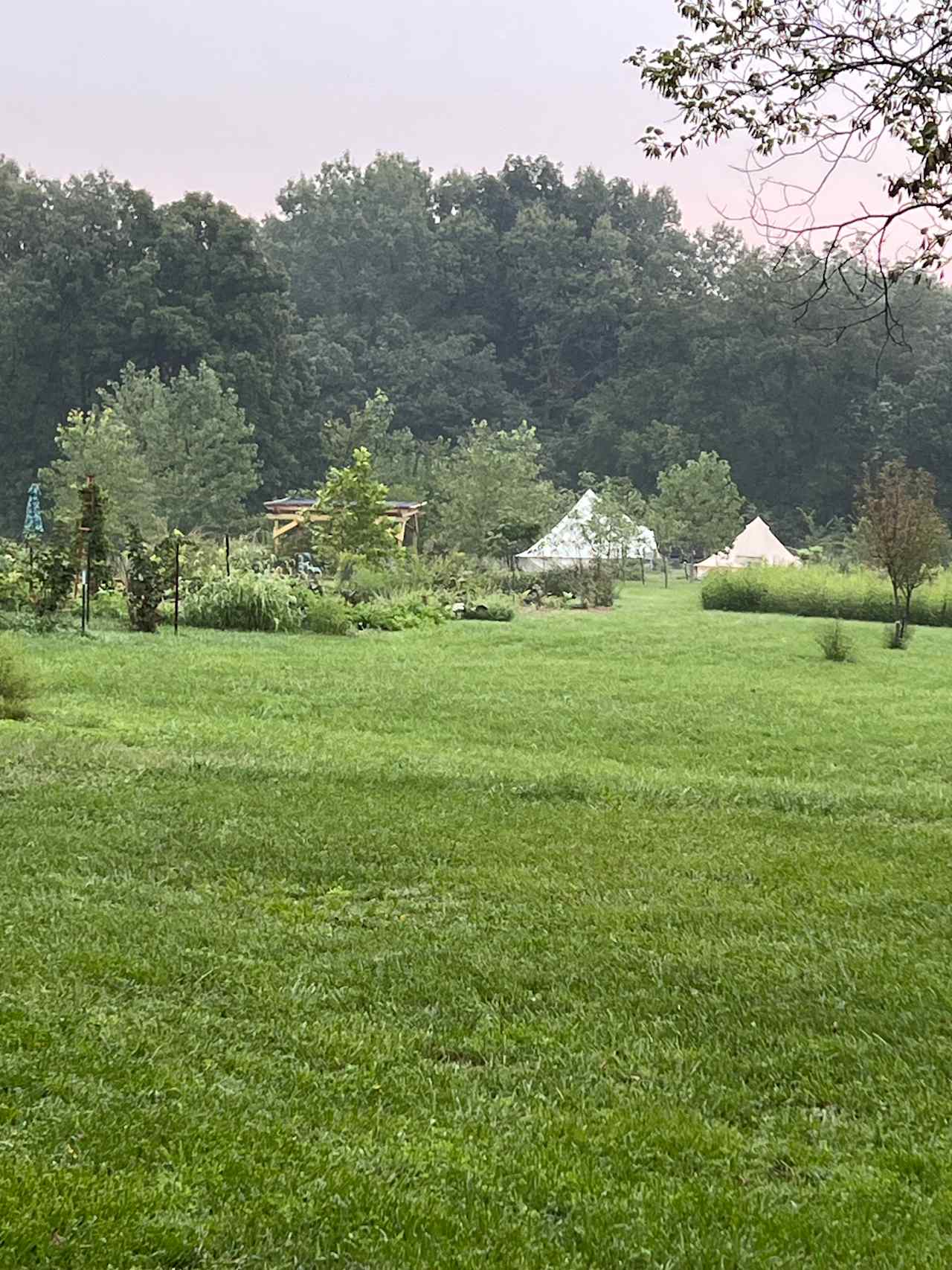 This photo shows two tents but we are now offering only one tent. The medicinal herb garden is in the forefront