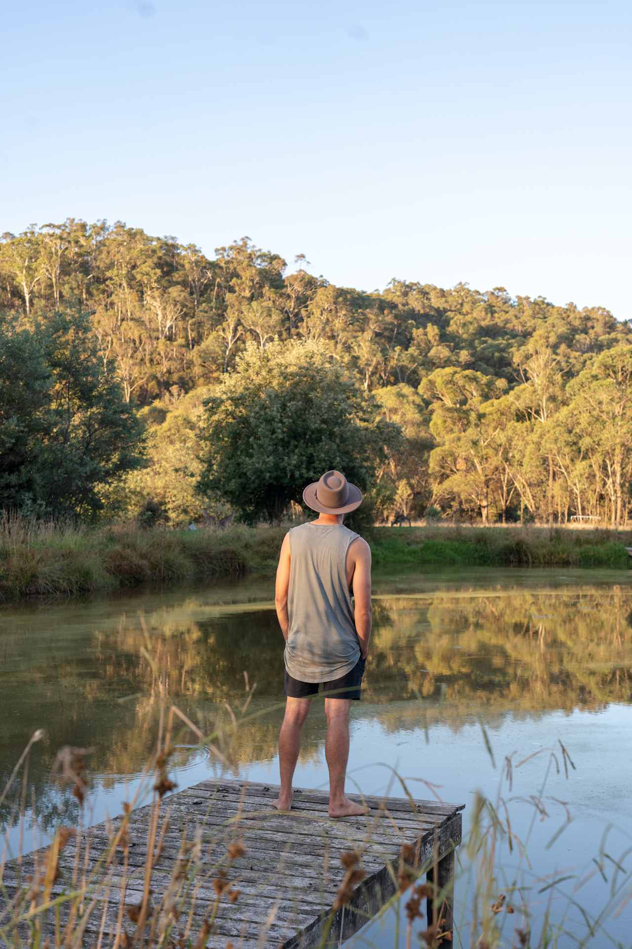 Watching the kangaroos hop along the dam