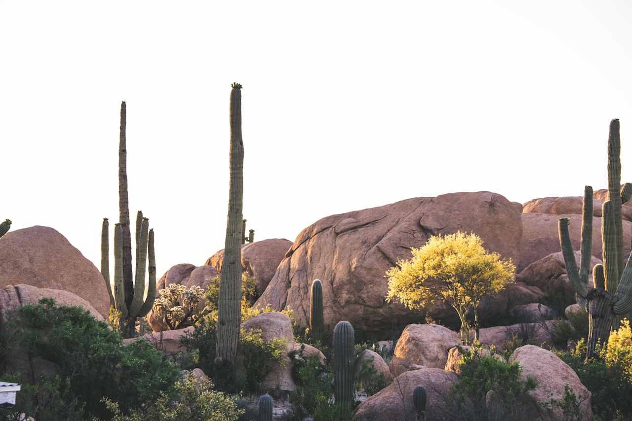 Boulder hideout