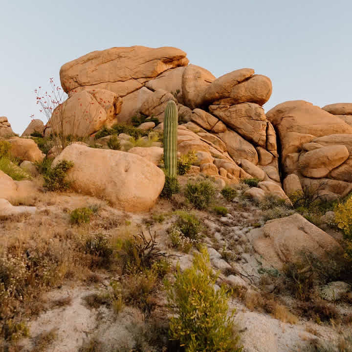 Boulder hideout