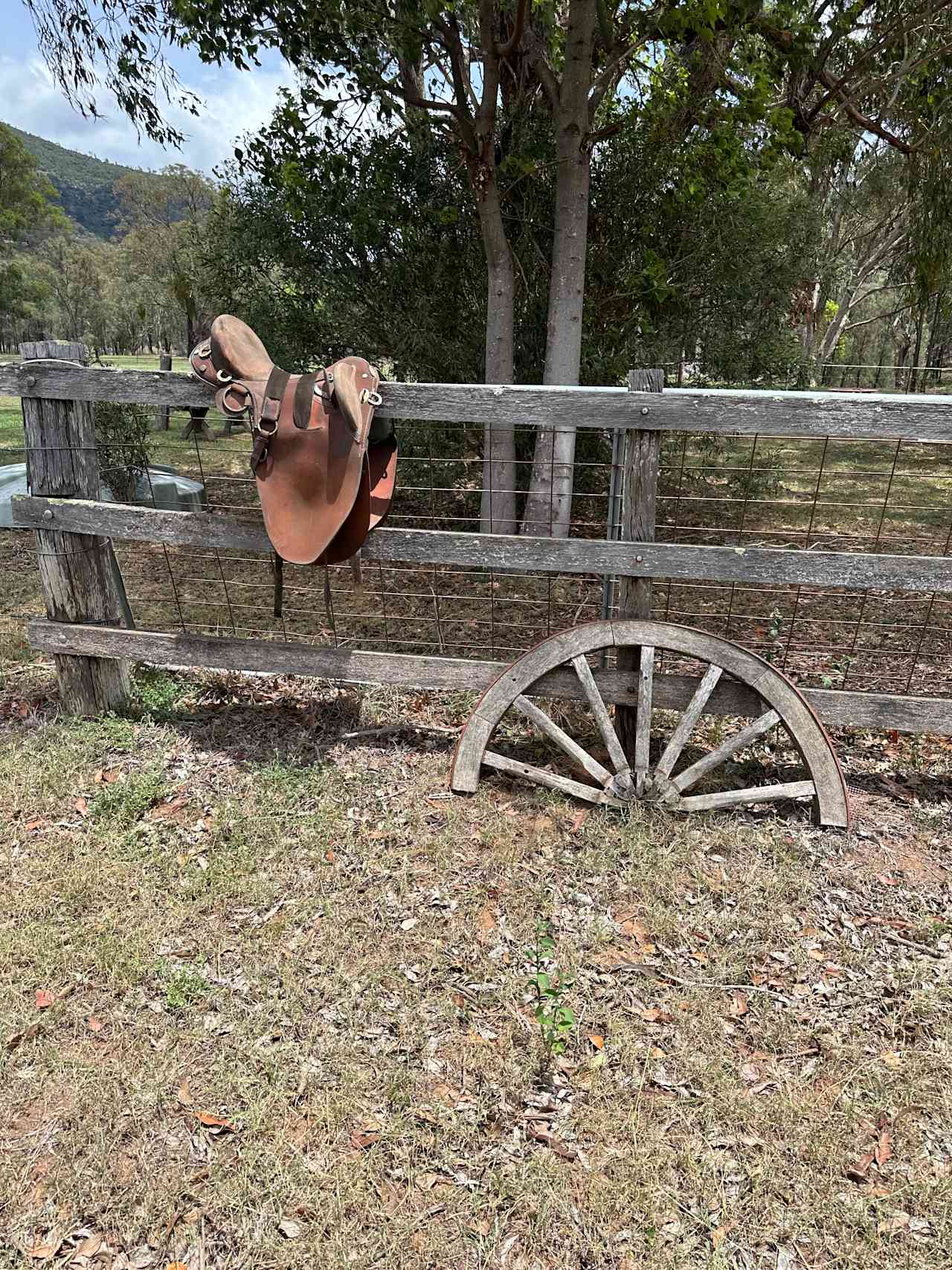 Valley View Farm, Hunter Valley