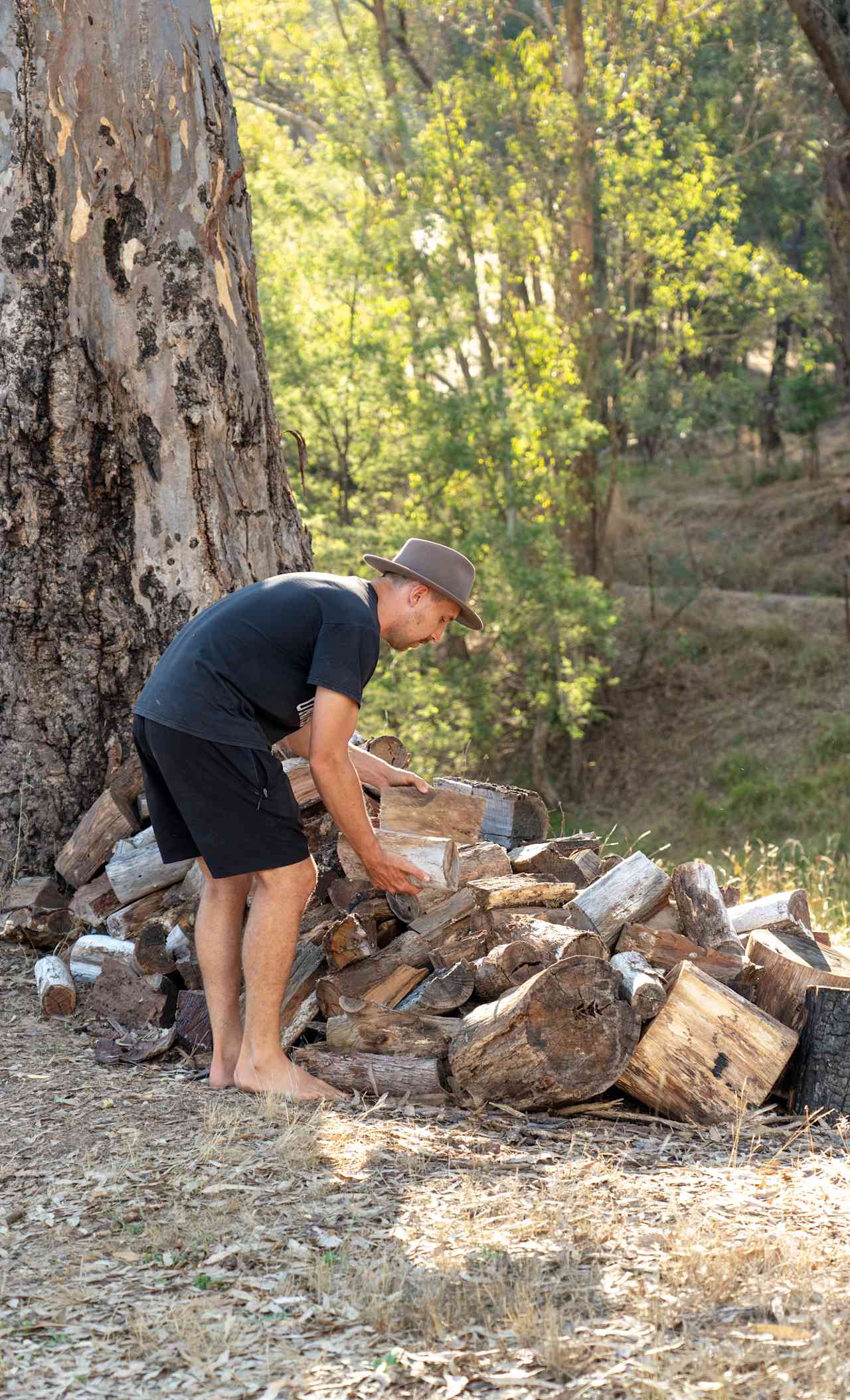 Great supply of firewood was provided 