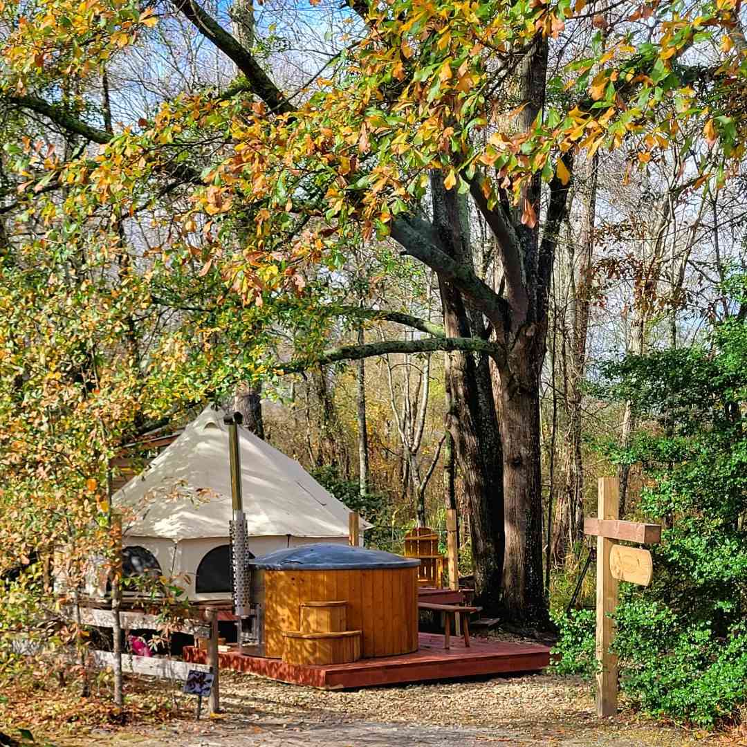 Greenville - Luxury Southern Bell
