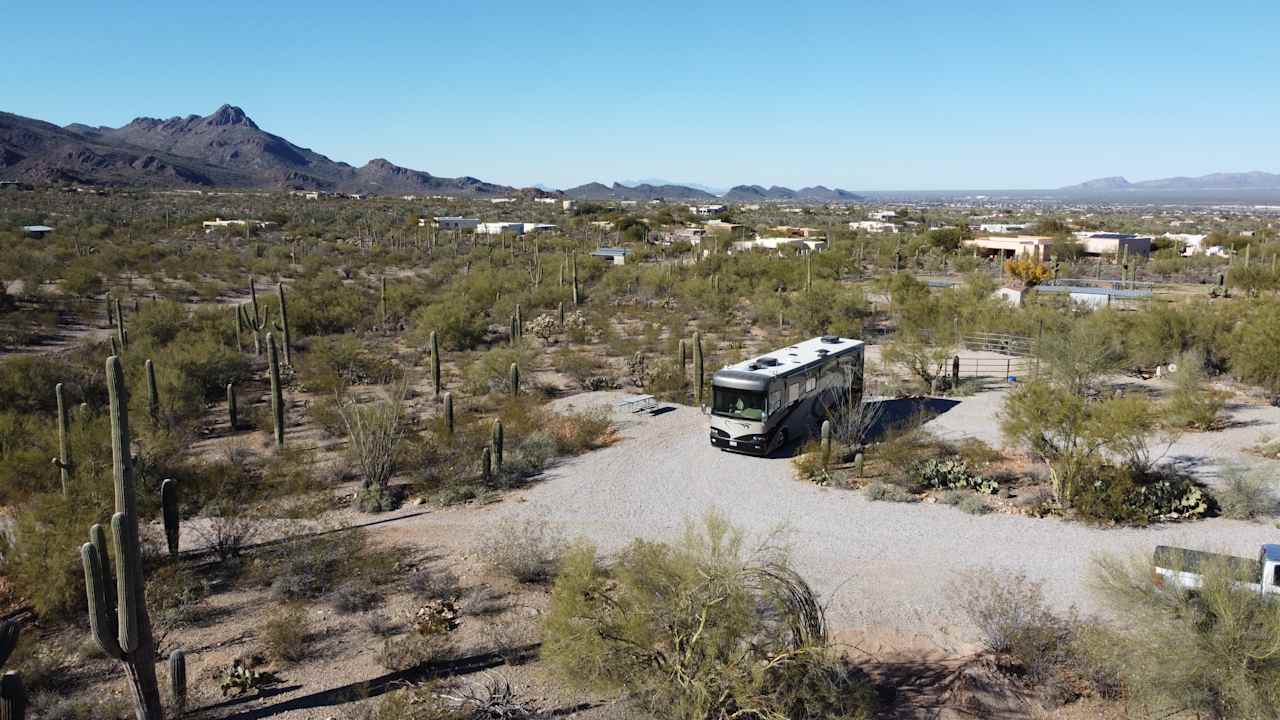 Saguaro View