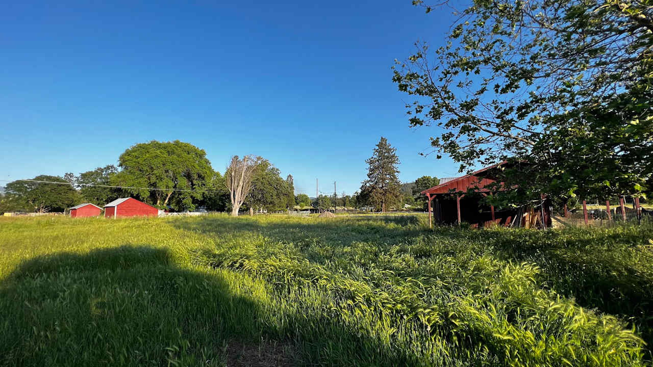 Medford Meadows Farm