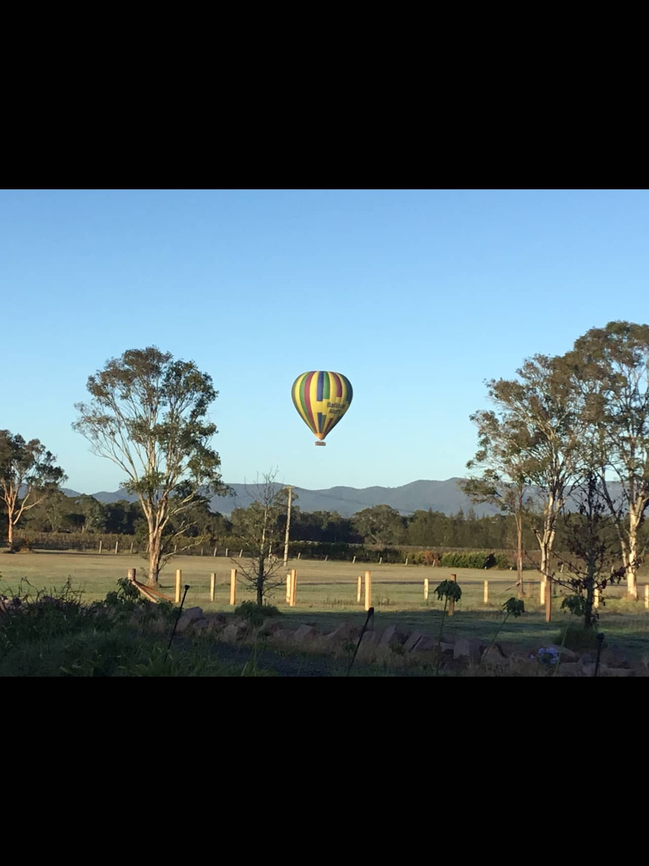 Trinity Vineyard - Hunter Valley