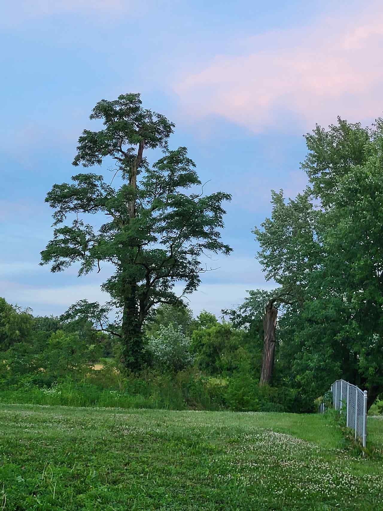 Sugar Maple Grove Campground