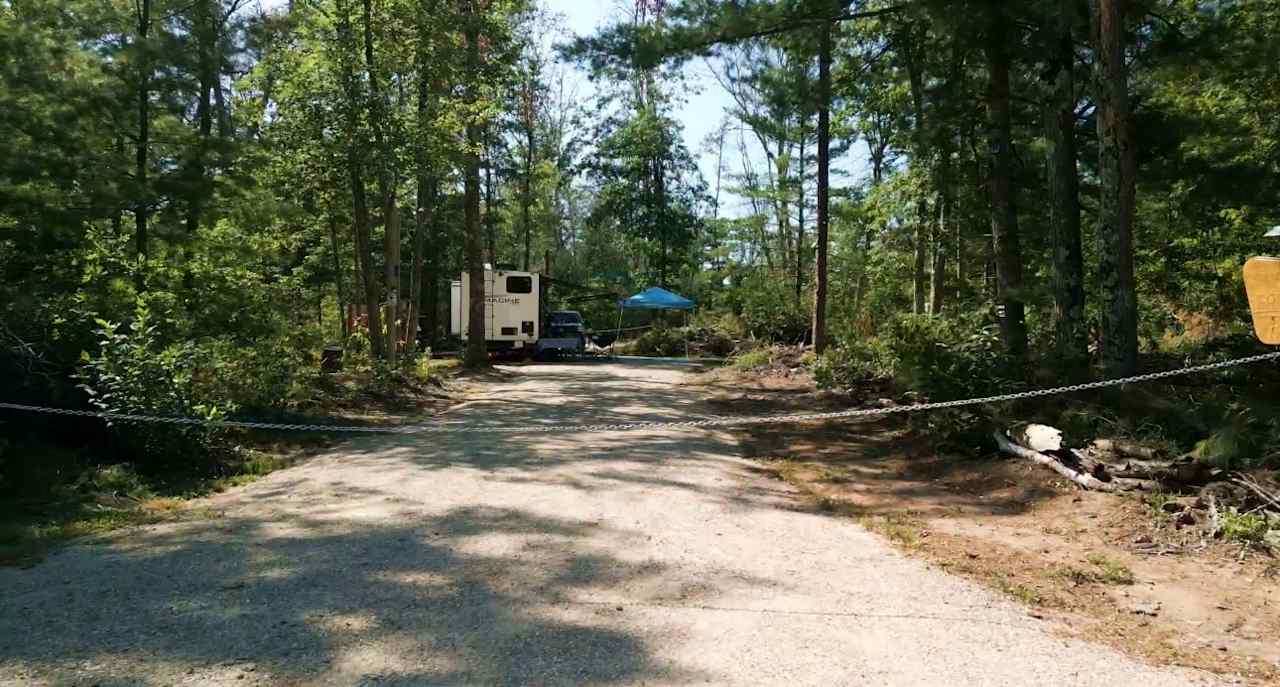 Sandy Fern Campsite