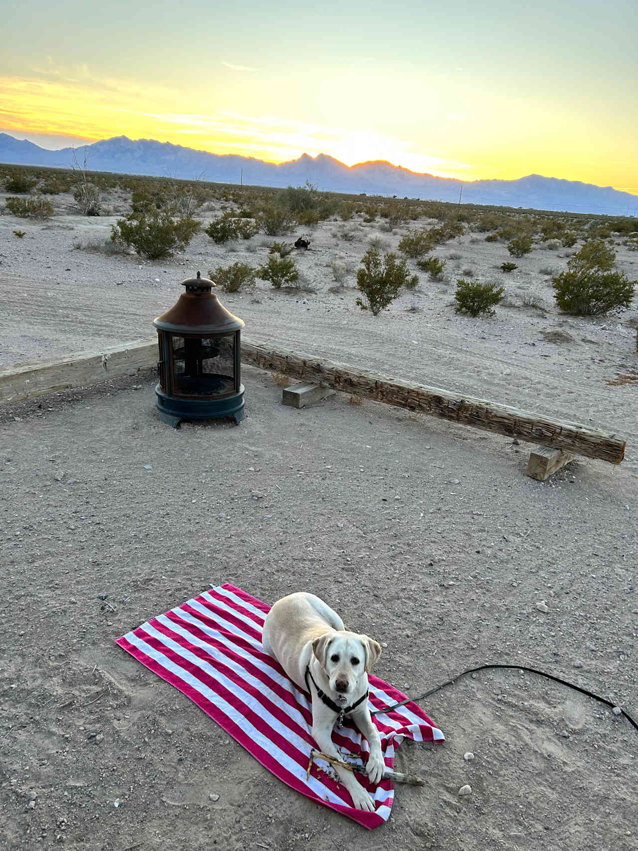 Death Valley Camp