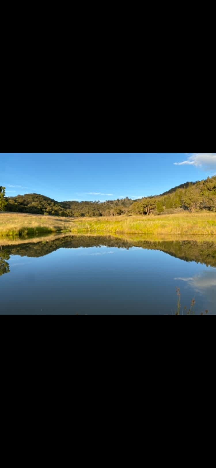 Shelter On Gunyah