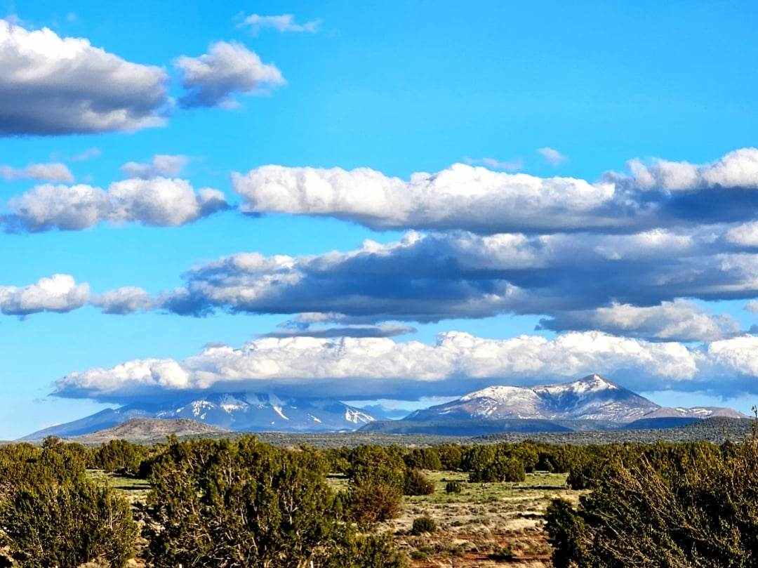 Another view of the San Francisco peaks from the property.