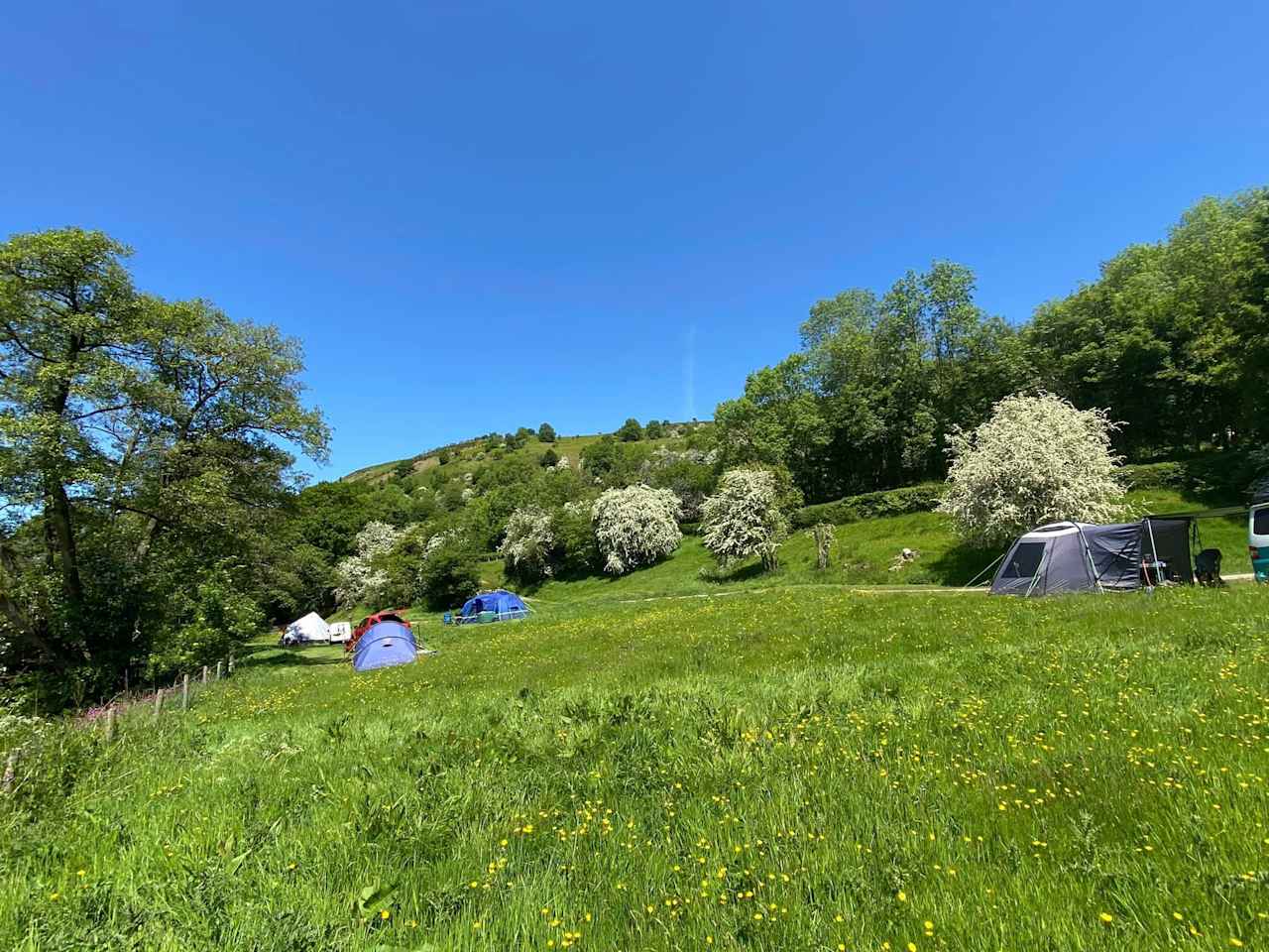 Panpwnton Campsite