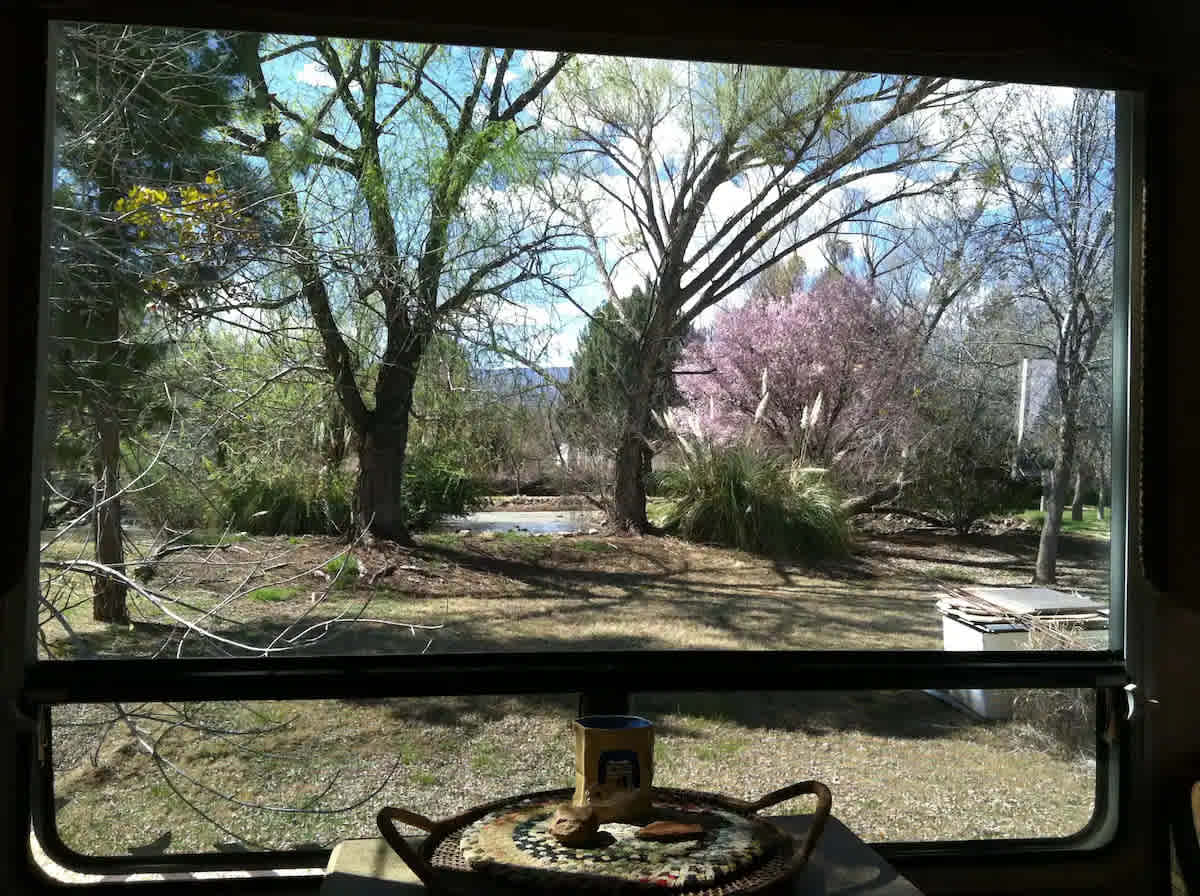 Old Town Garden Oasis