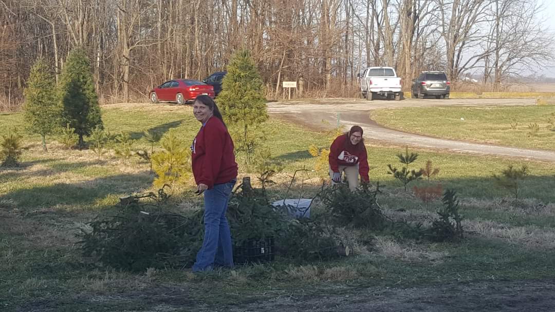 Clearview Christmas Tree Farm