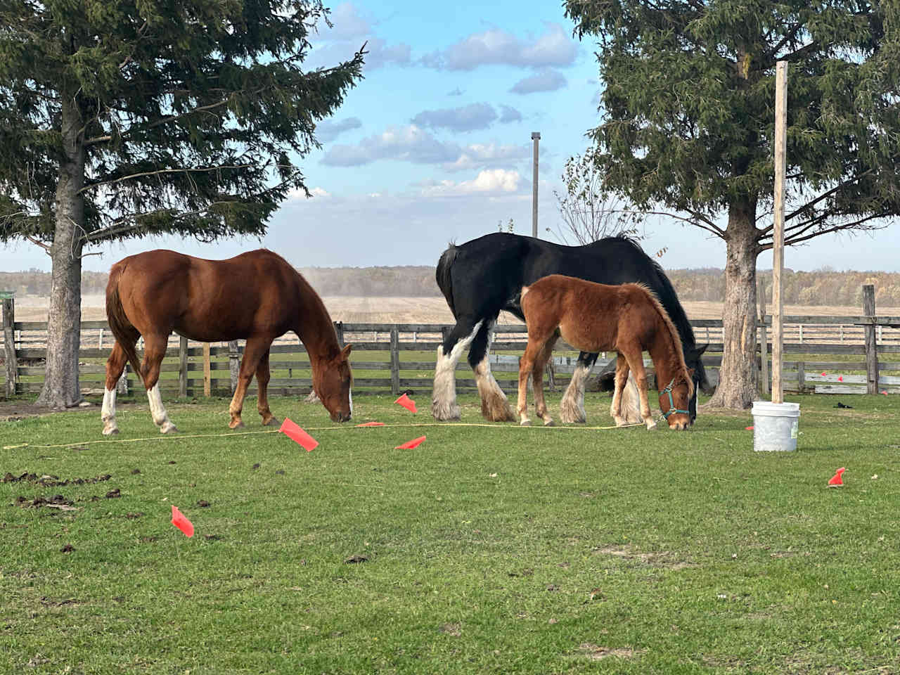 Eagle Creek Ranch