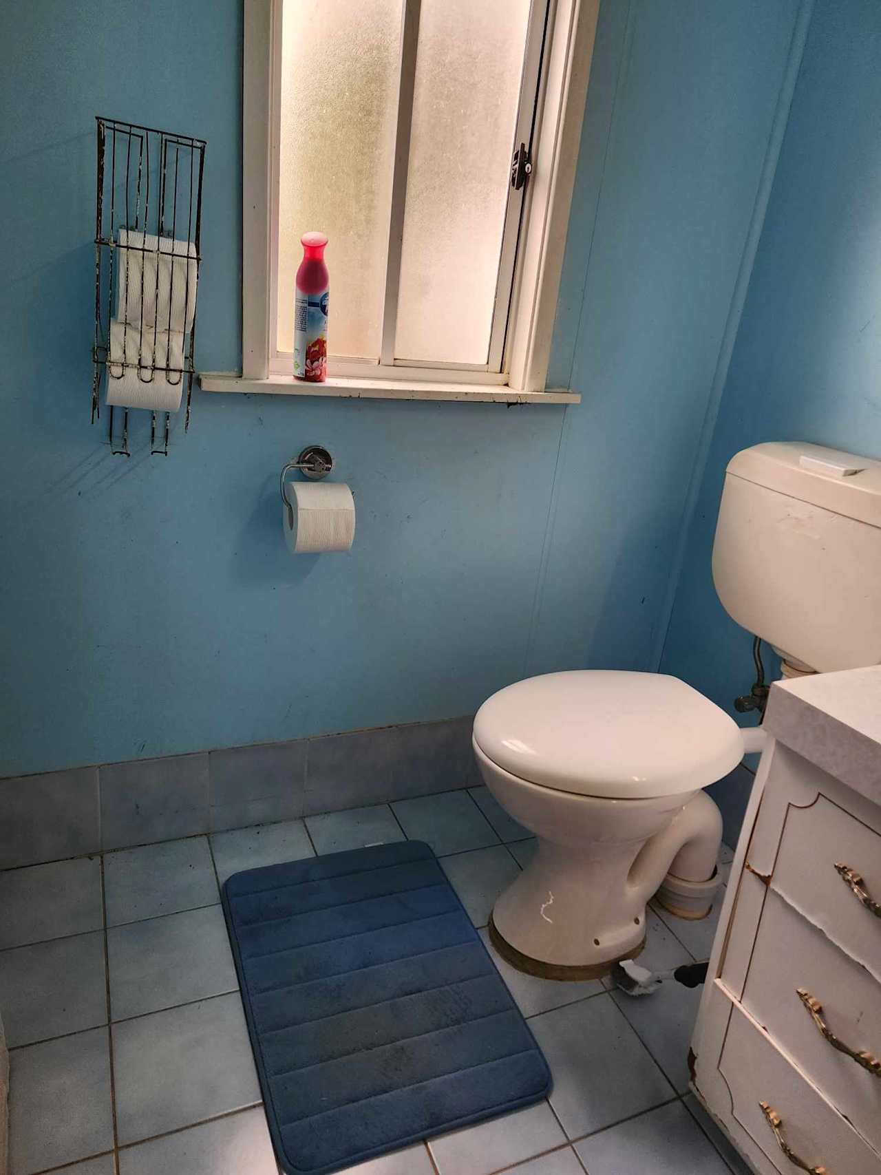 Toilet is old but clean and functional