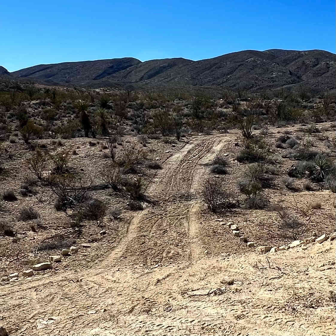 Clear outlined driveway to campsite