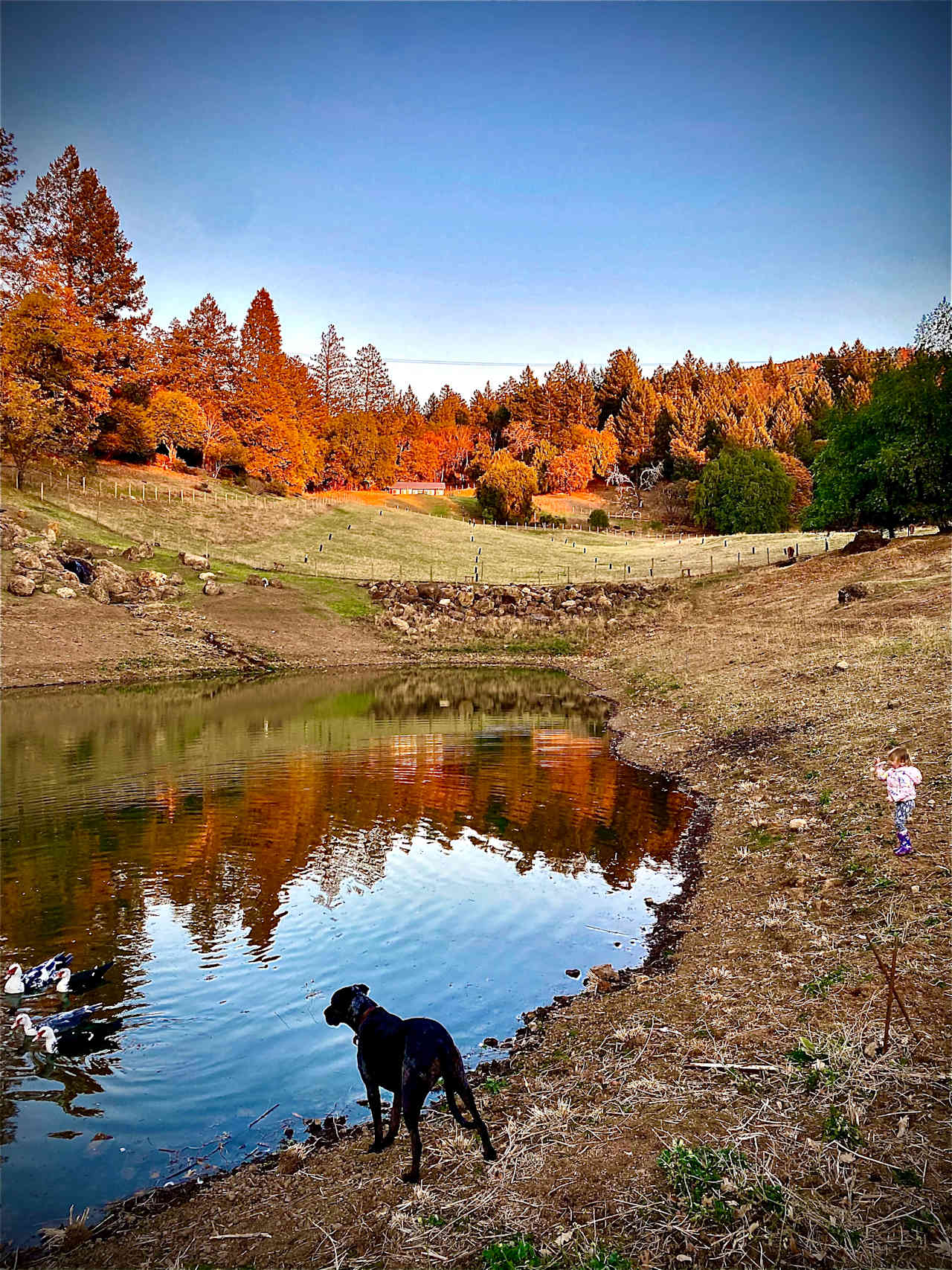 Wild Canyon Ranch CA