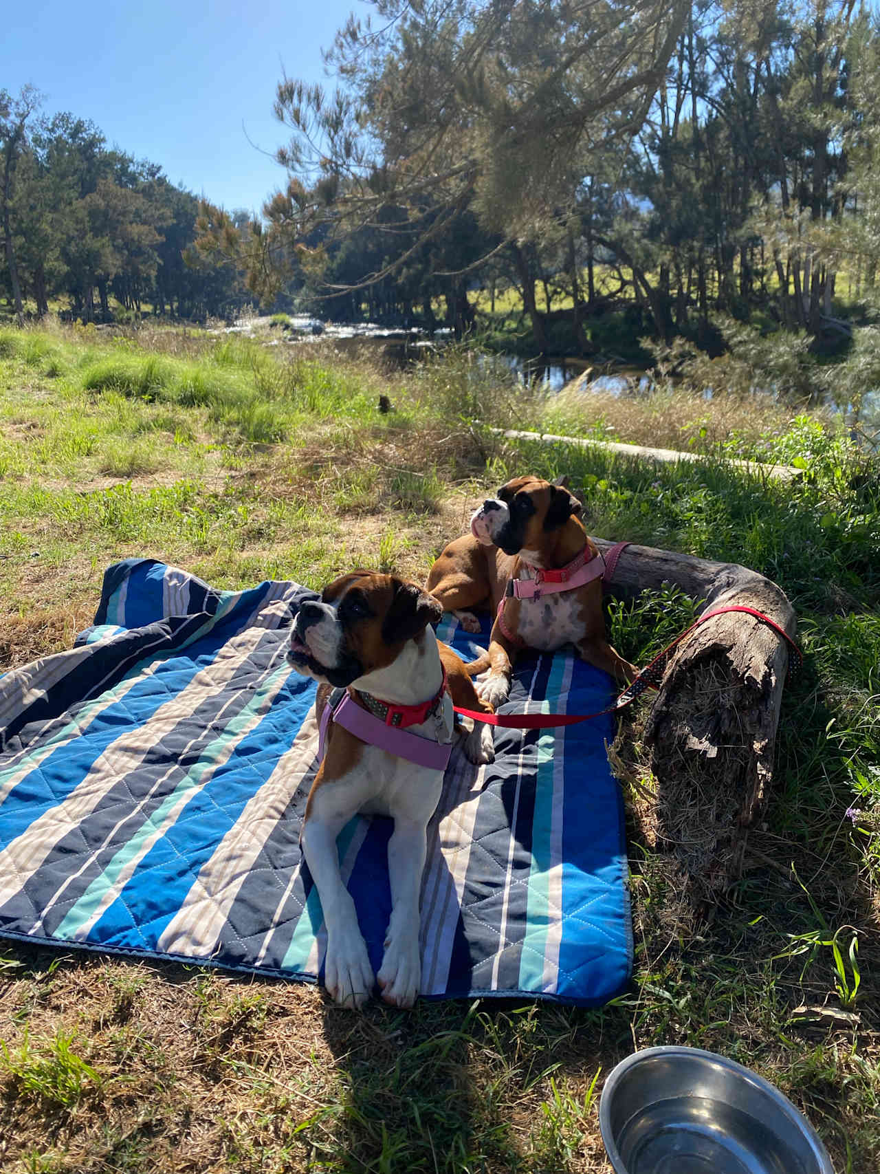 On the Stone River Retreat