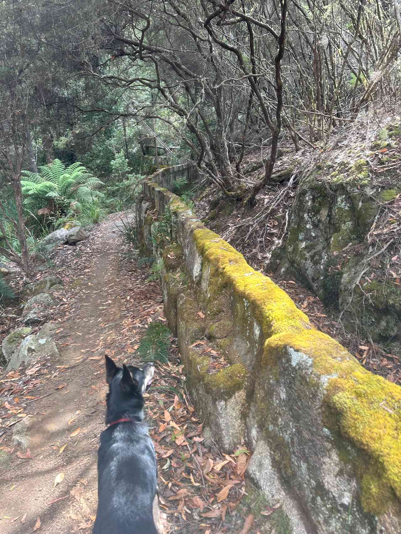 Kings Wall, bike track