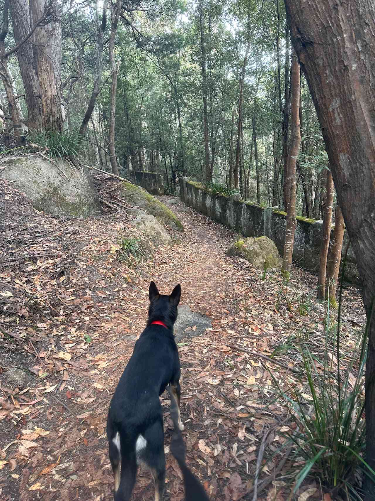 Derby Bush Bath Retreat