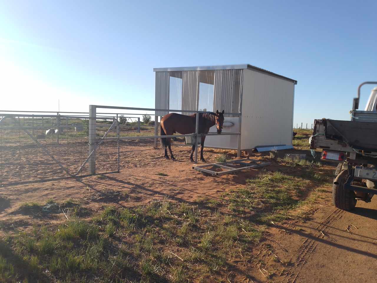 Camp with Horses next to the Beach