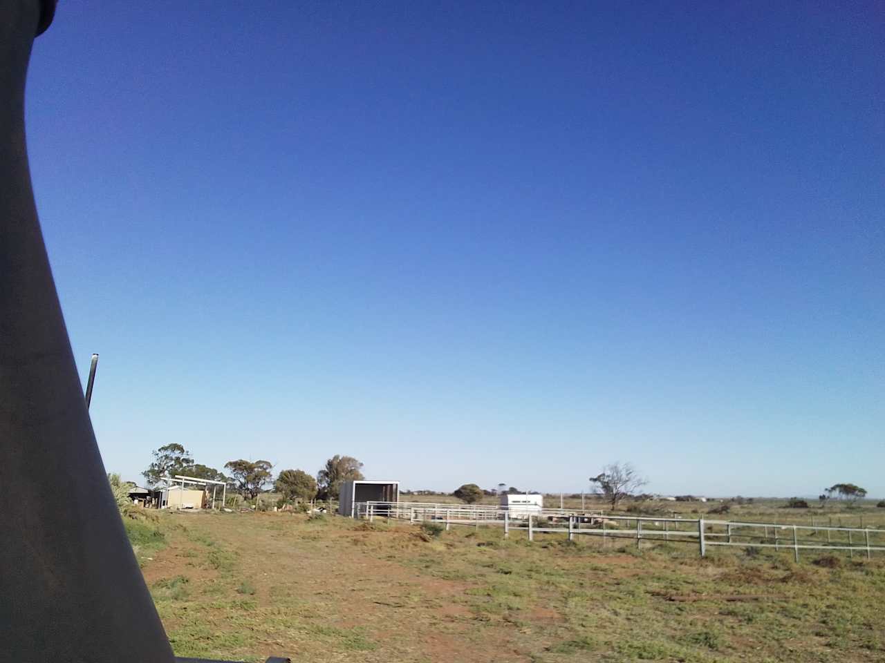 Camp with Horses next to the Beach