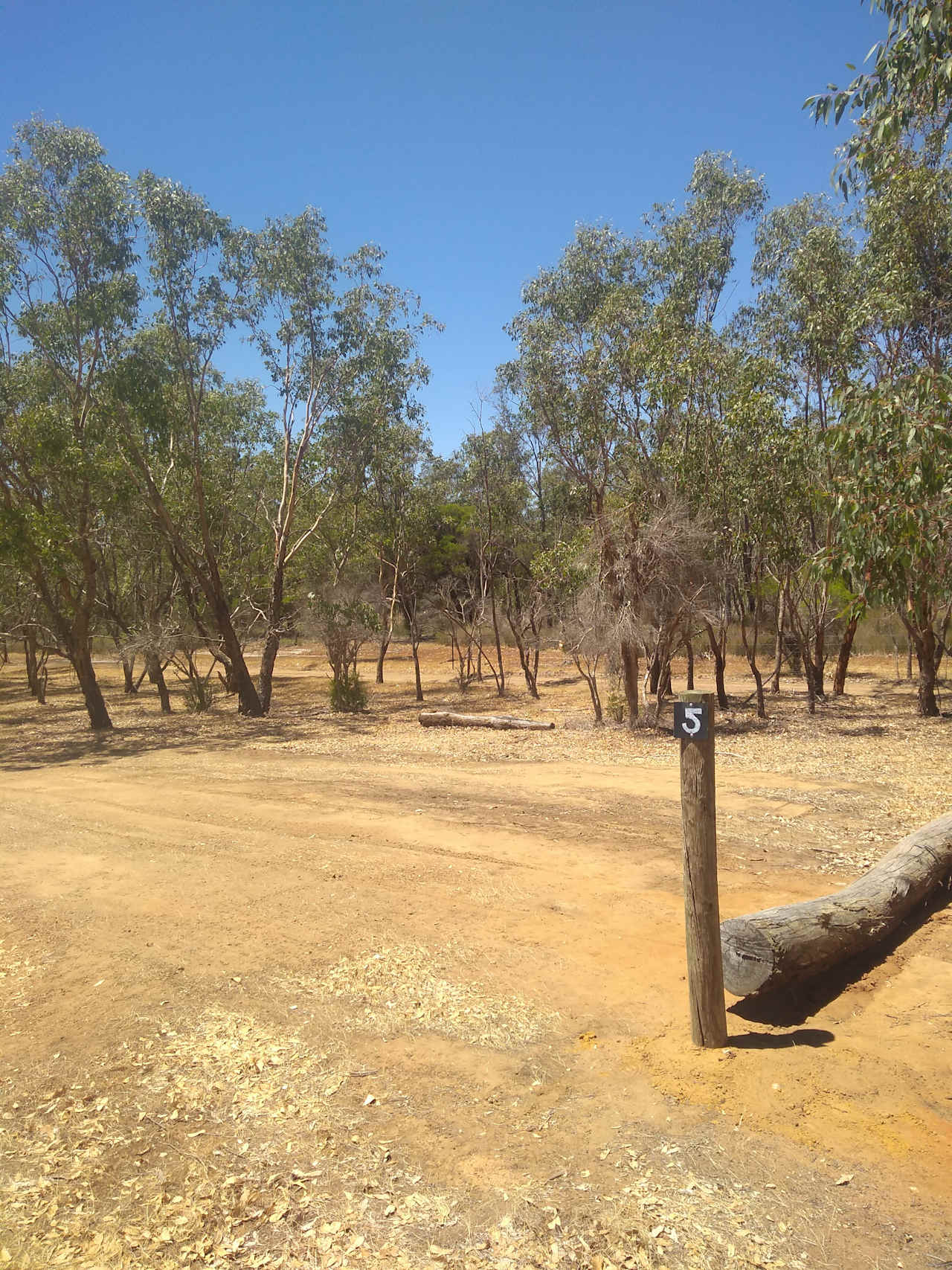 Paperbark Creek
