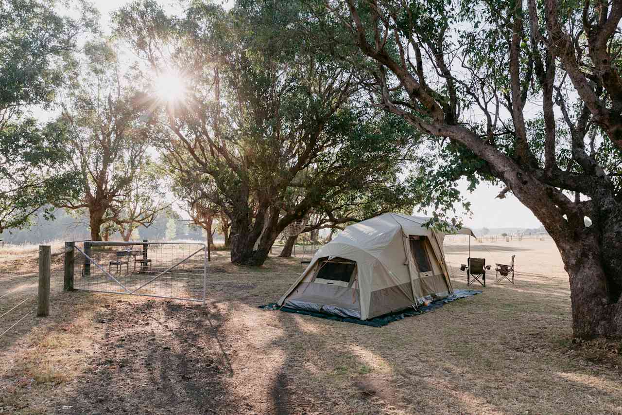 camp set up in the shade 