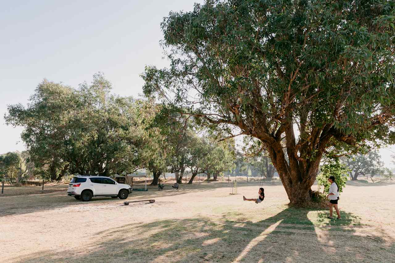 wide angle of property with ample shade 