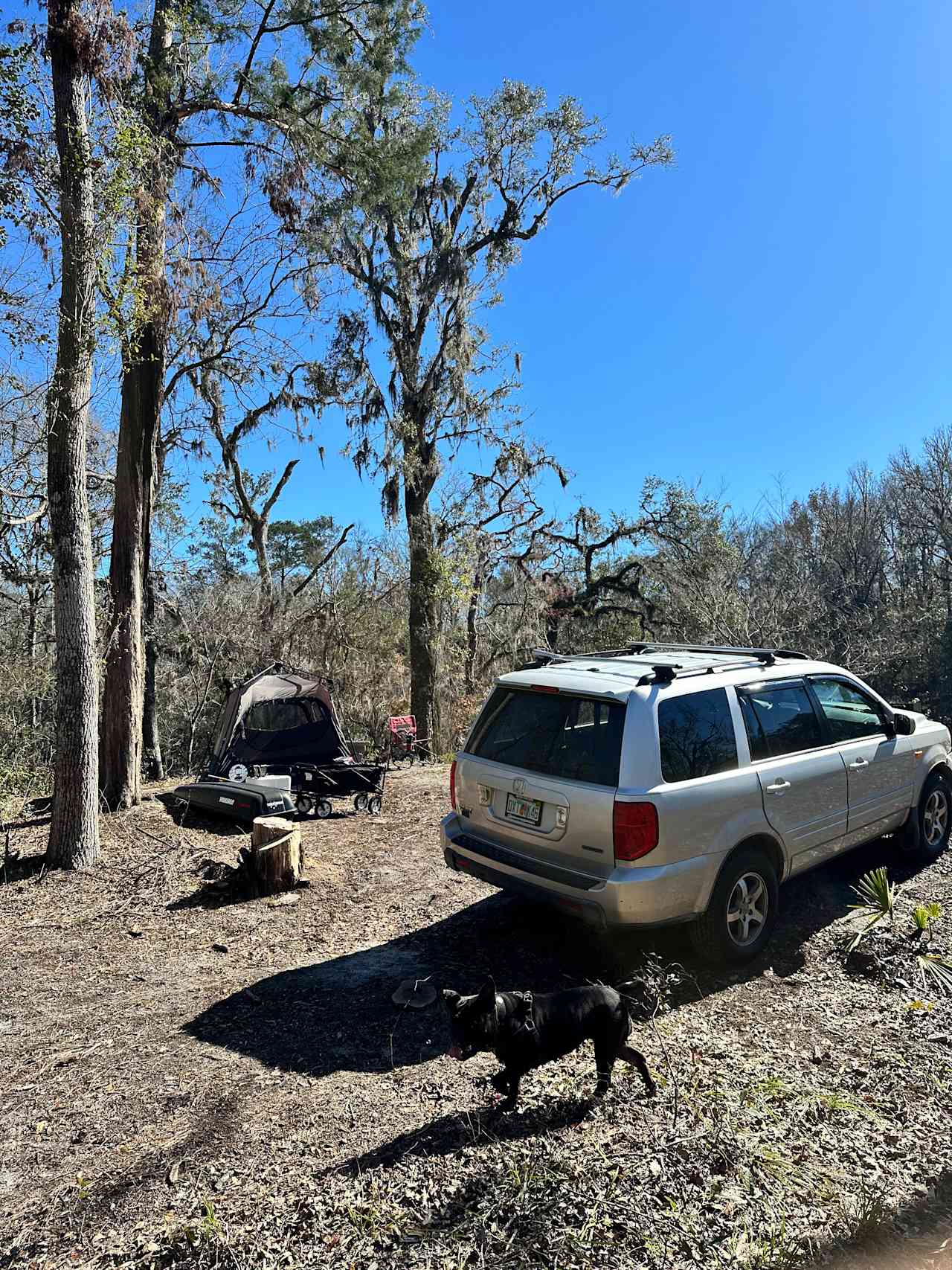 Suwannee Glades