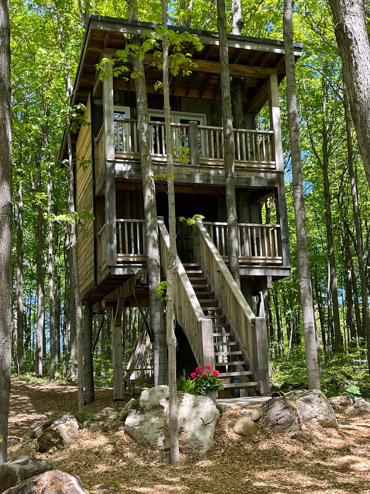 Treetop Retreat