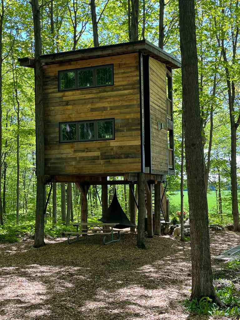 Treetop Retreat