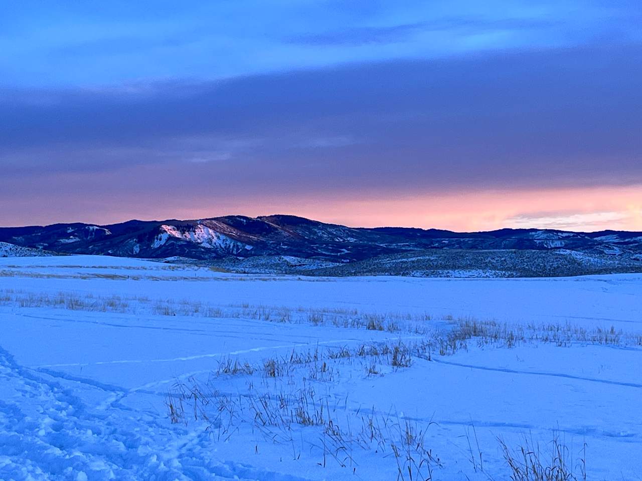 The meadow under snow