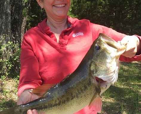 Front pond large mouth bass. 7 lbs. and he's still out there.