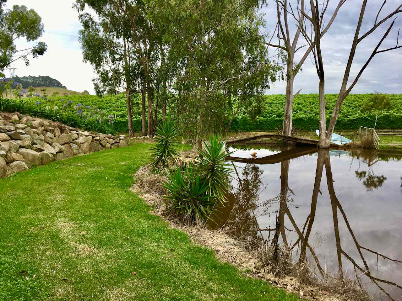 Yarra Valley Vineyard Views