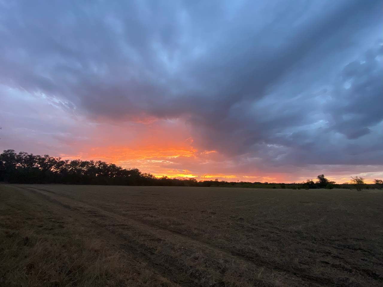 The open field at sunset