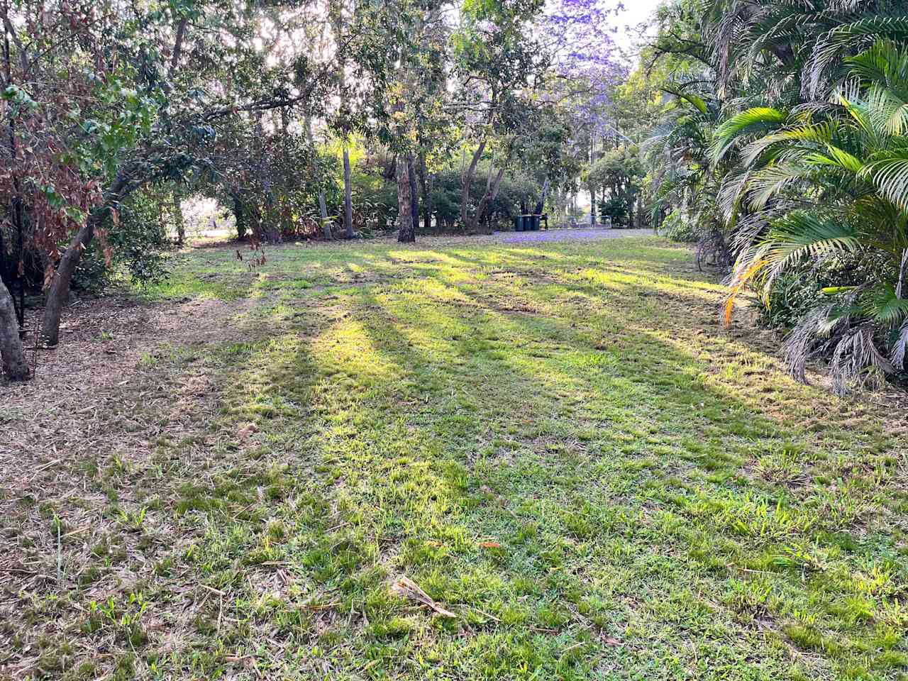 Urban Oasis in Brisbane