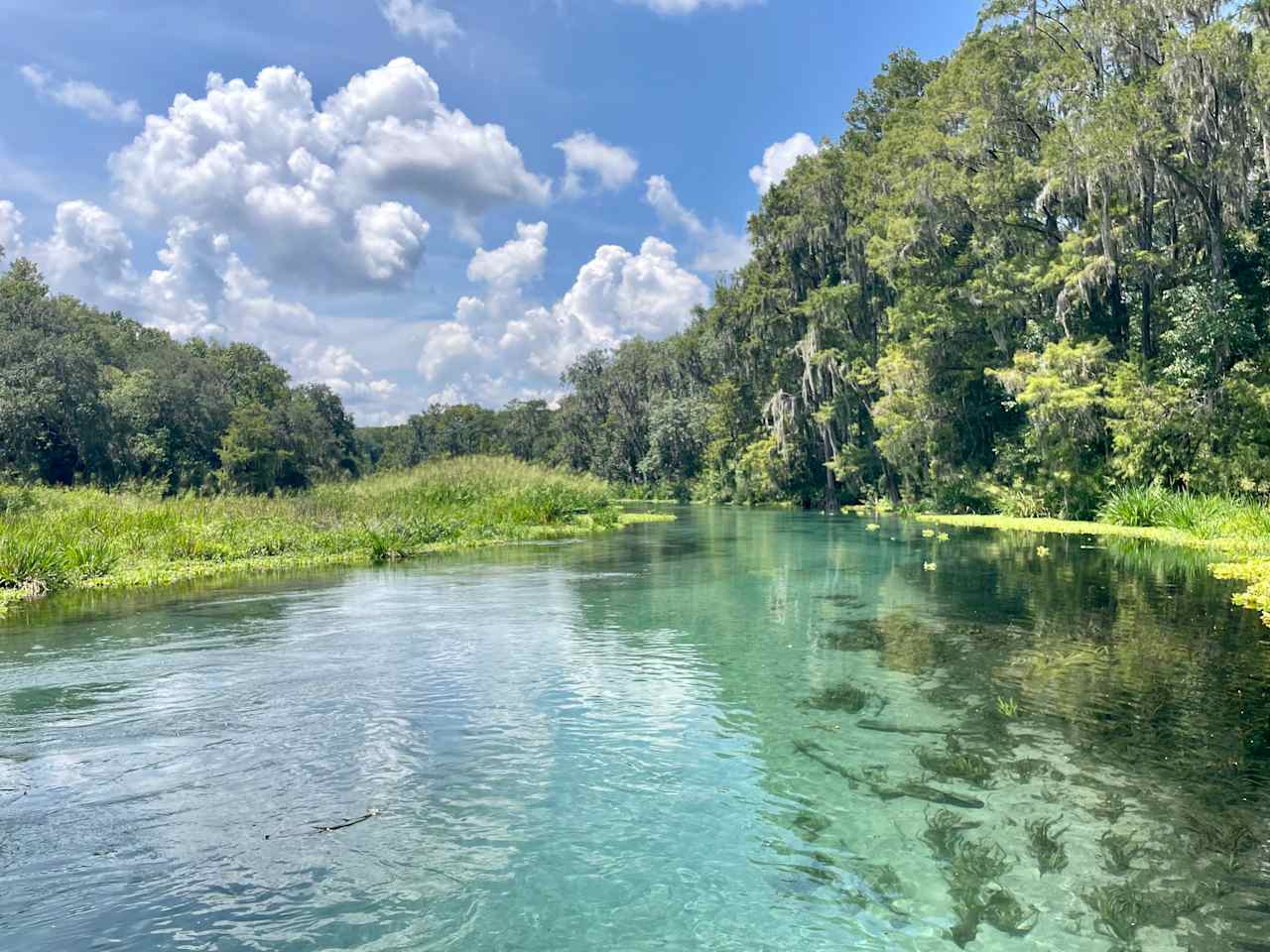 Ichetucknee freshwater